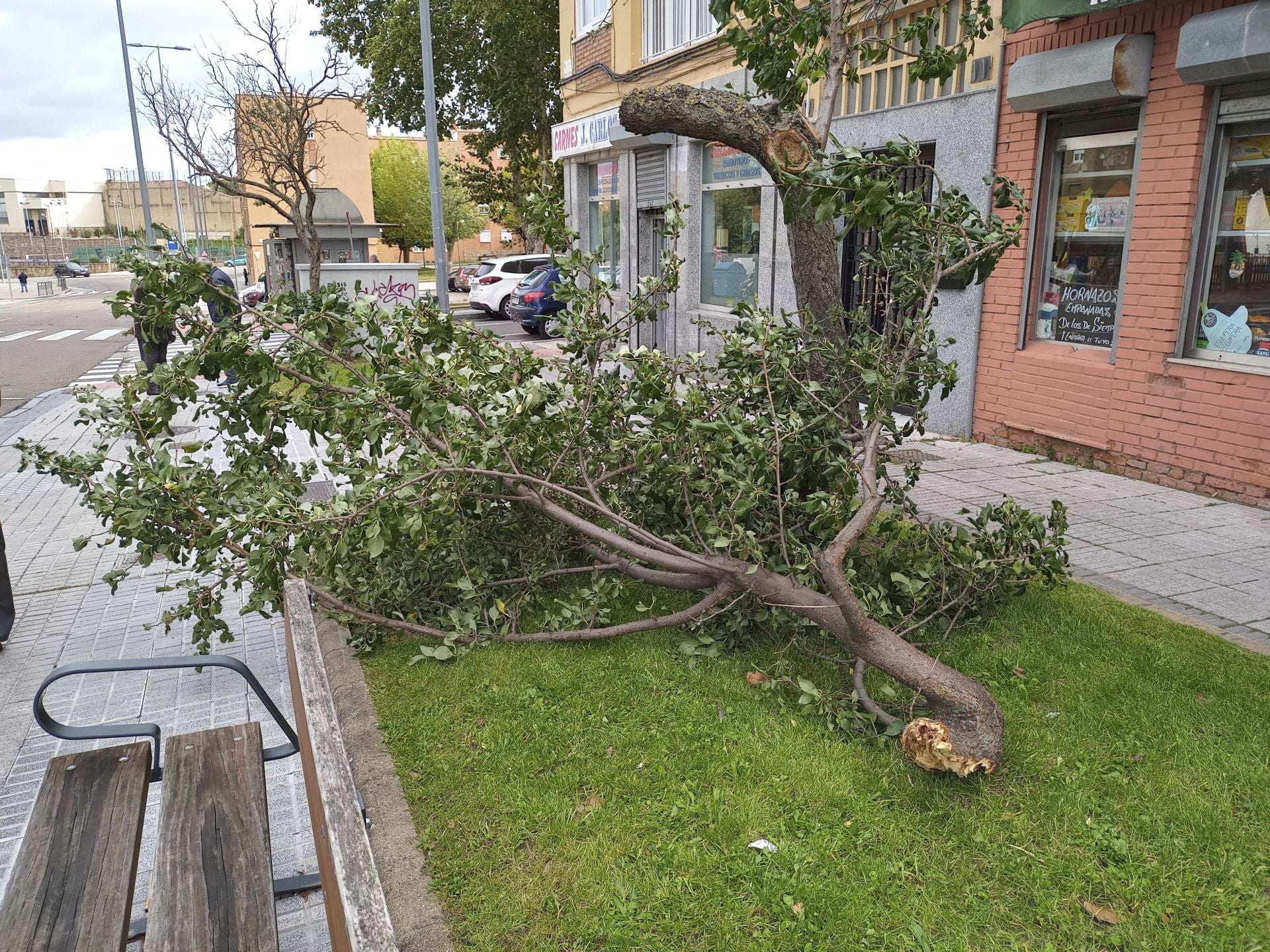 Cerrados parques y zonas arboladas de Salamanca por fuertes rachas de viento