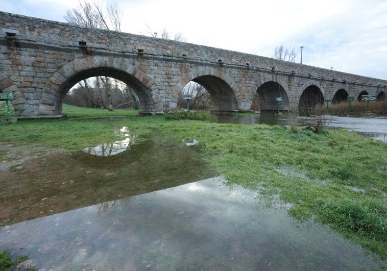 El río Tormes inunda paseos cercanos a su orilla esta mañana en Salamanca