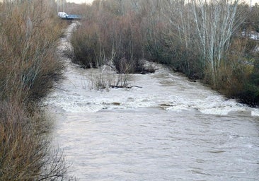 Alerta por la crecida de los ríos en Salamanca y la llegada de un fuerte caudal al Tormes