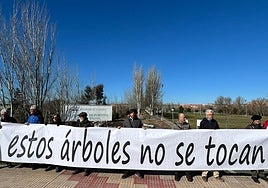Concentración de personas en las inmediaciones de Salas Bajas protestando por la tala de árboles.