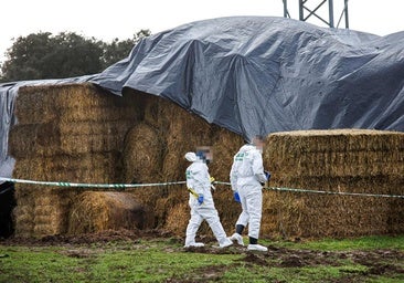 Varios registros en Ciudad Rodrigo para tratar de esclarecer la muerte de Álvaro
