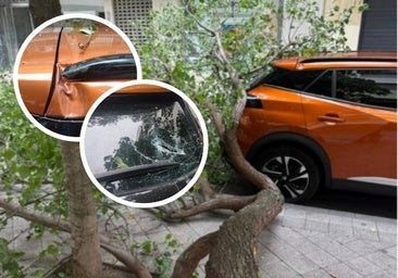 Tala y factura de 3.000 euros por los daños de la caída de un árbol sobre un coche