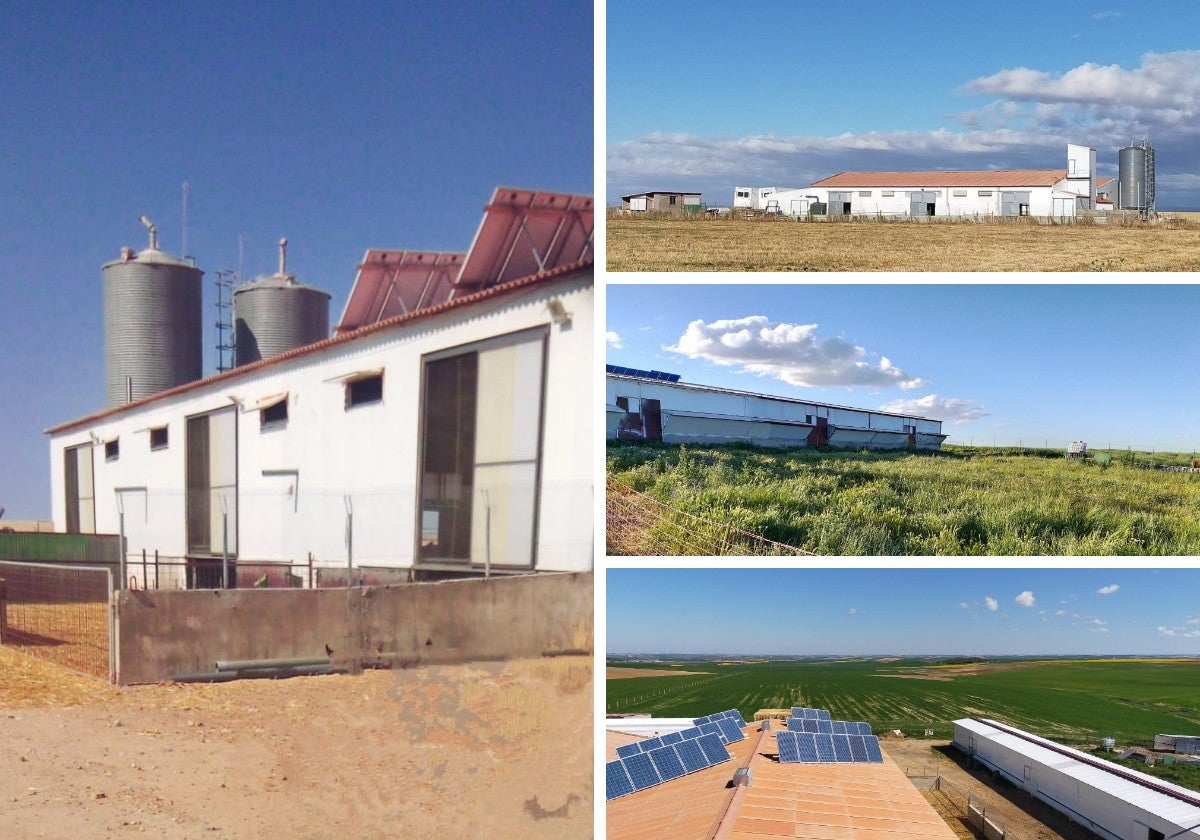 La granja y finca en un pueblo de Salamanca en venta para criar cabritos