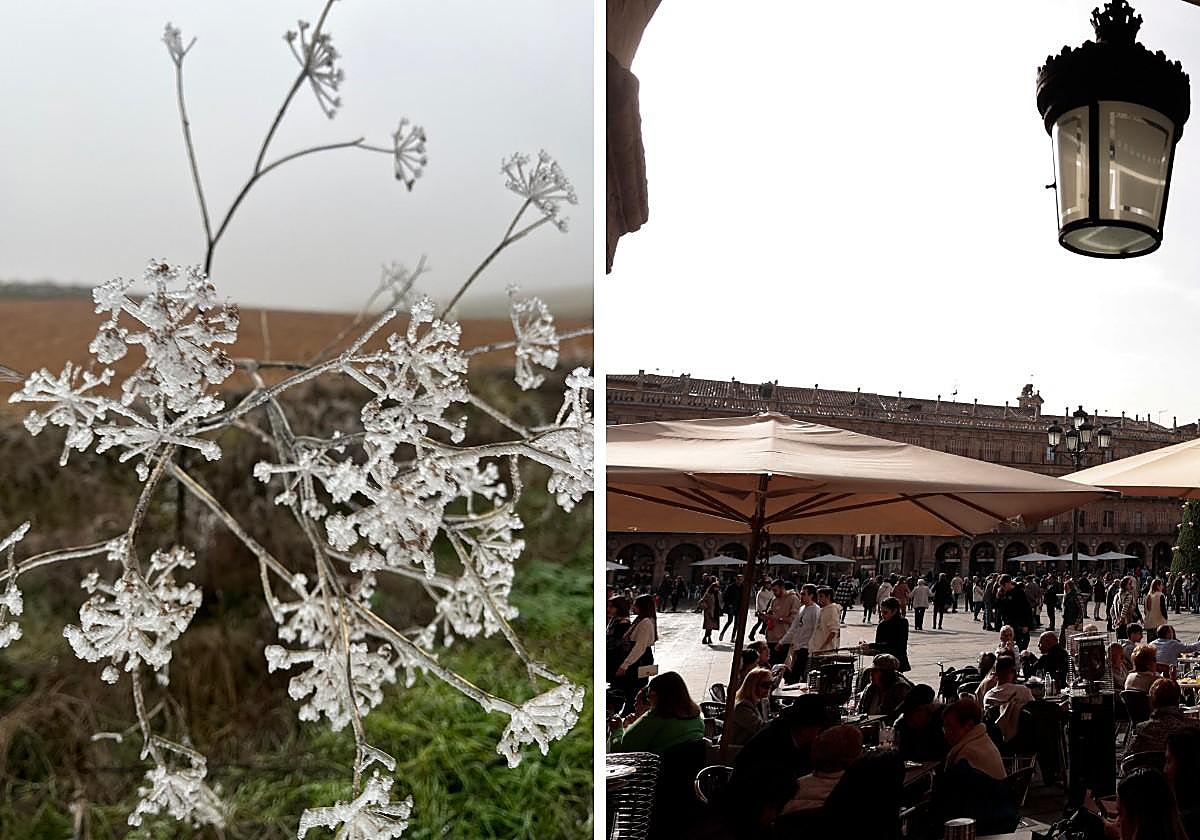 Imagen de una helada en la provincia de Salamanca y, a la derecha, de una soleada tarde en la Plaza Mayor de Salamanca.