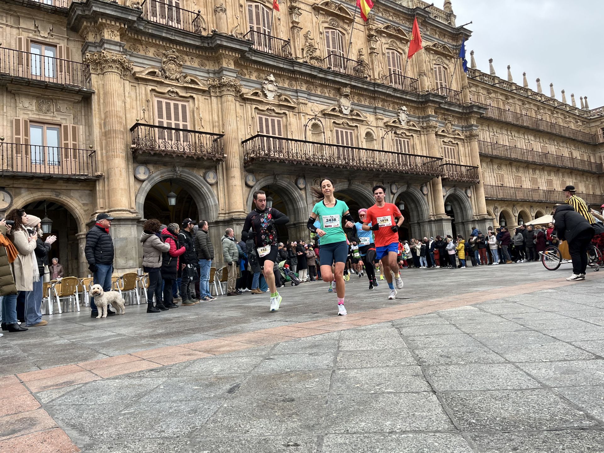 Paso de la Media Maratón de Salamanca por la Plaza Mayor