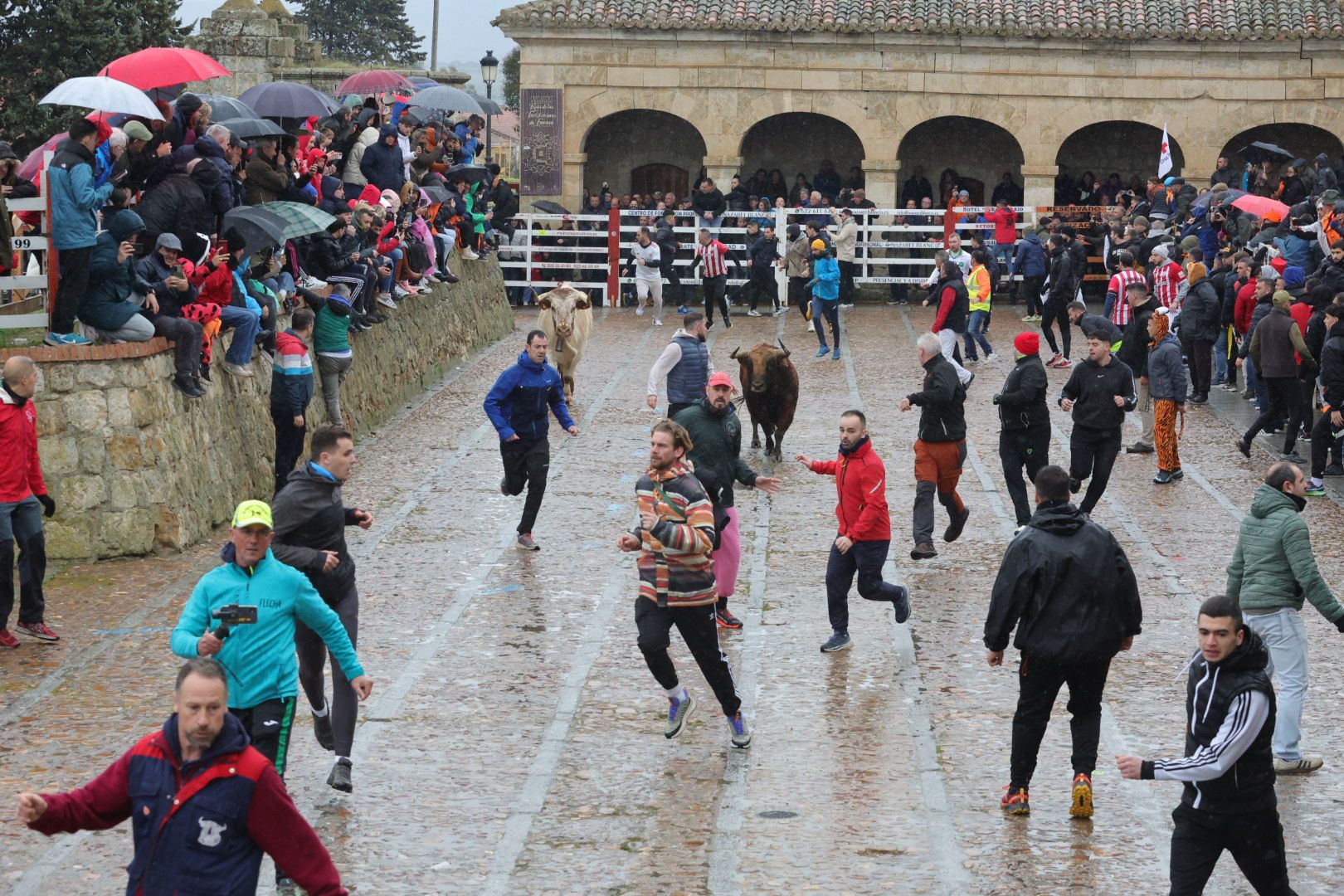 Un encierro pasado por agua en el Carnaval del Toro de Ciudad Rodrigo