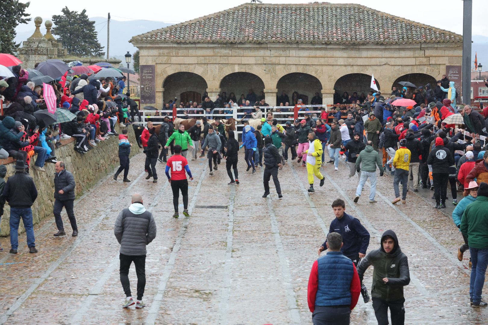 Un encierro pasado por agua en el Carnaval del Toro de Ciudad Rodrigo