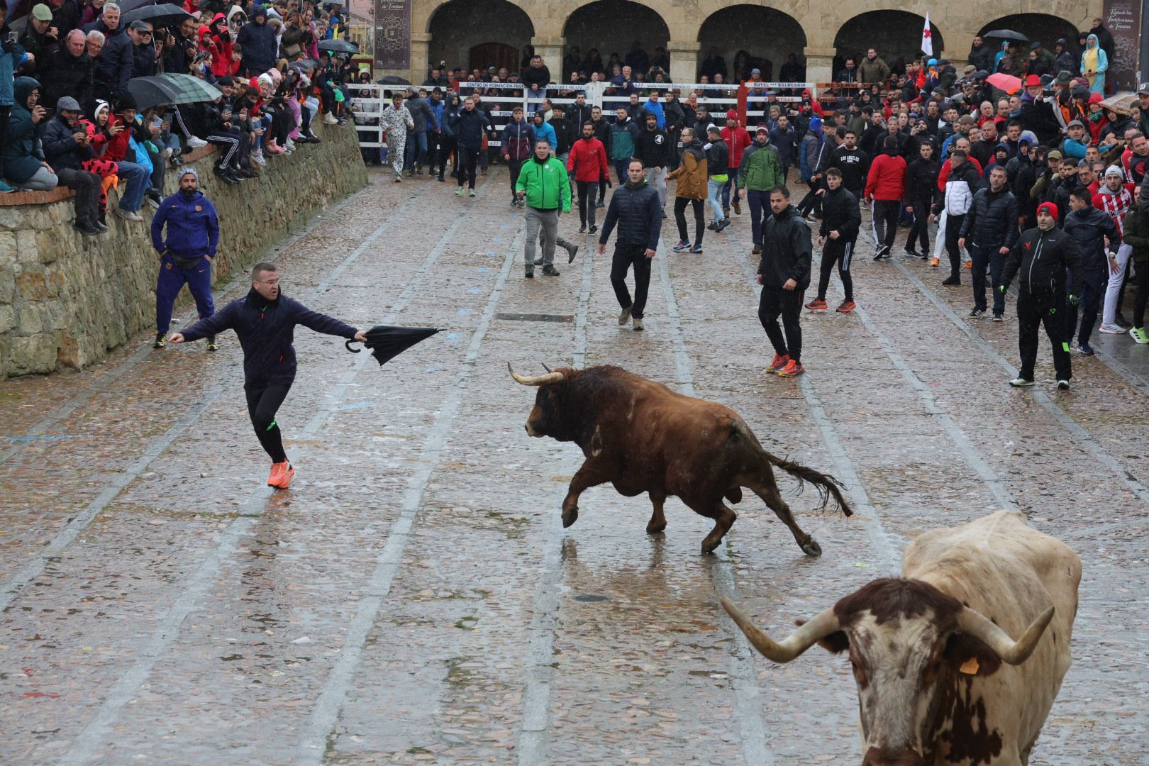 Un encierro pasado por agua en el Carnaval del Toro de Ciudad Rodrigo