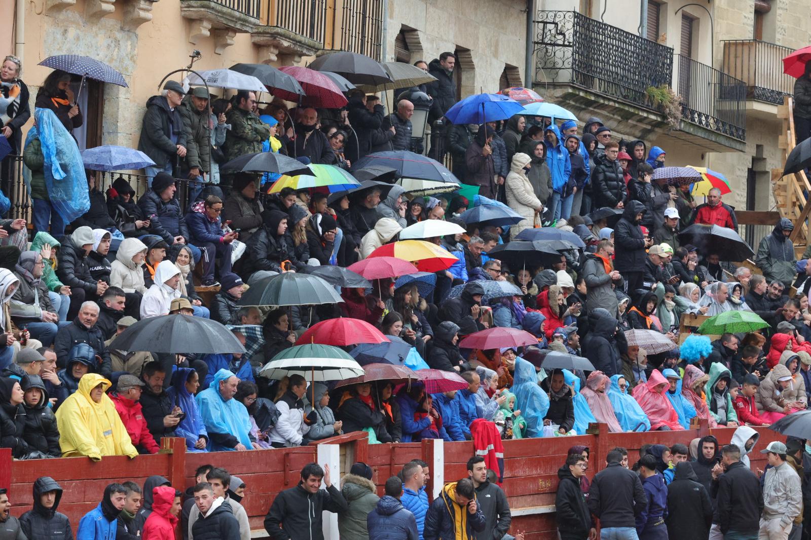 Un encierro pasado por agua en el Carnaval del Toro de Ciudad Rodrigo