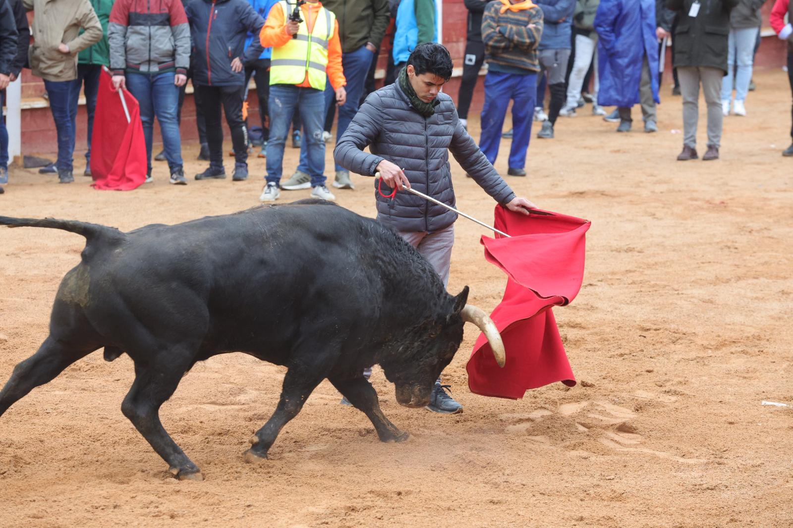 Un encierro pasado por agua en el Carnaval del Toro de Ciudad Rodrigo