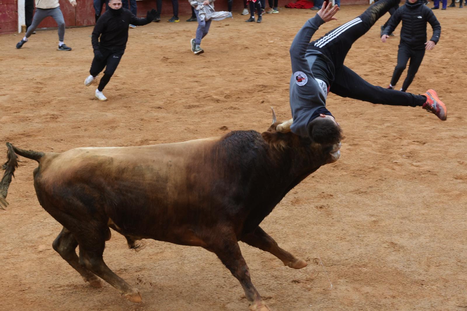 Un encierro pasado por agua en el Carnaval del Toro de Ciudad Rodrigo