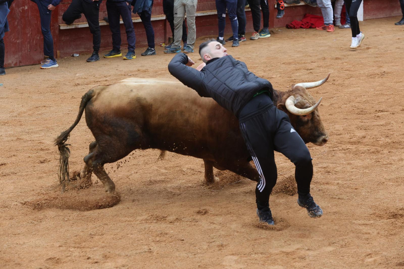 Un encierro pasado por agua en el Carnaval del Toro de Ciudad Rodrigo