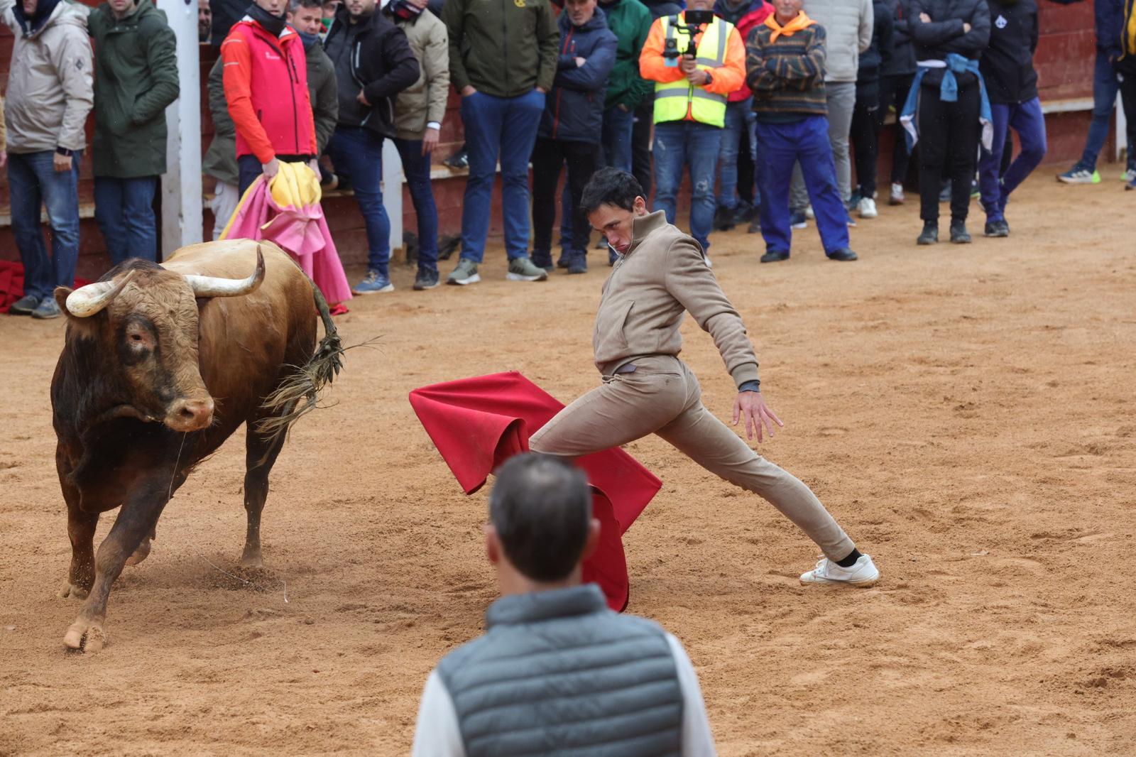Un encierro pasado por agua en el Carnaval del Toro de Ciudad Rodrigo