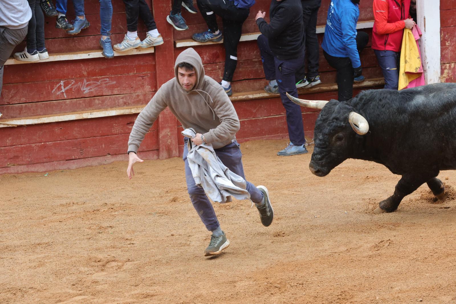 Un encierro pasado por agua en el Carnaval del Toro de Ciudad Rodrigo