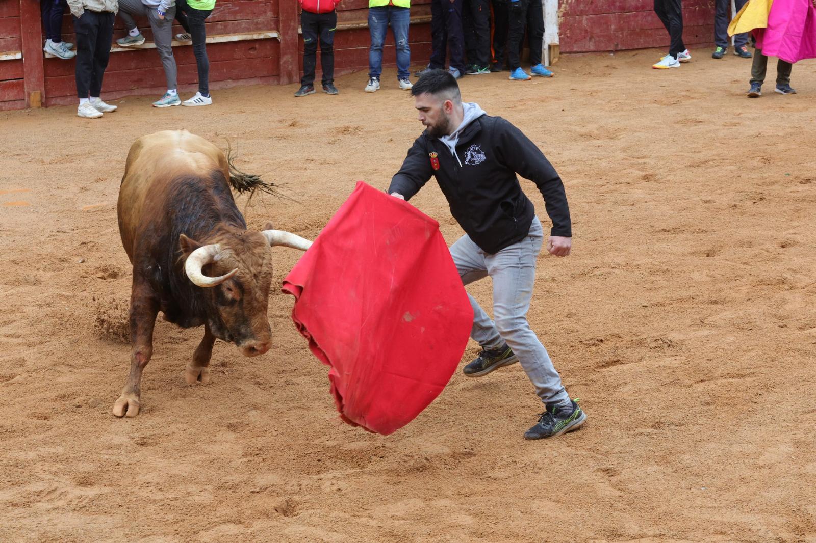 Un encierro pasado por agua en el Carnaval del Toro de Ciudad Rodrigo