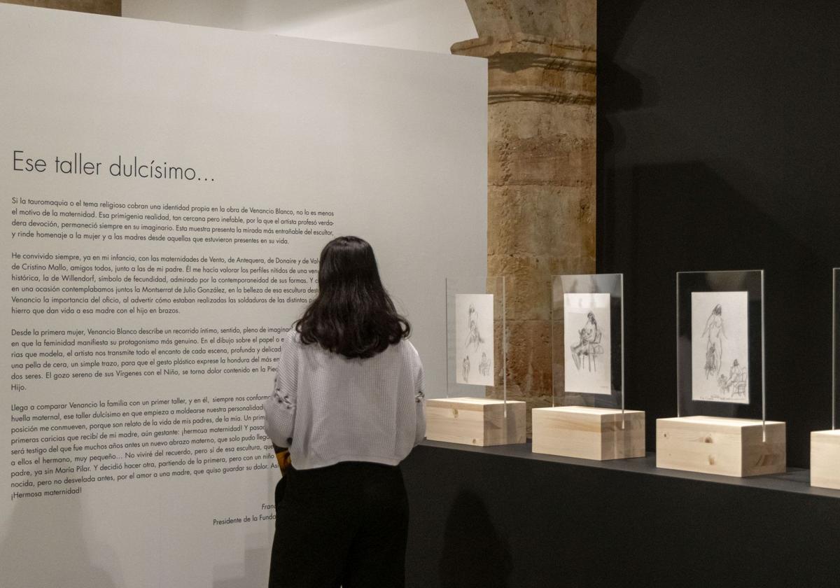 Imagen de Galeria 