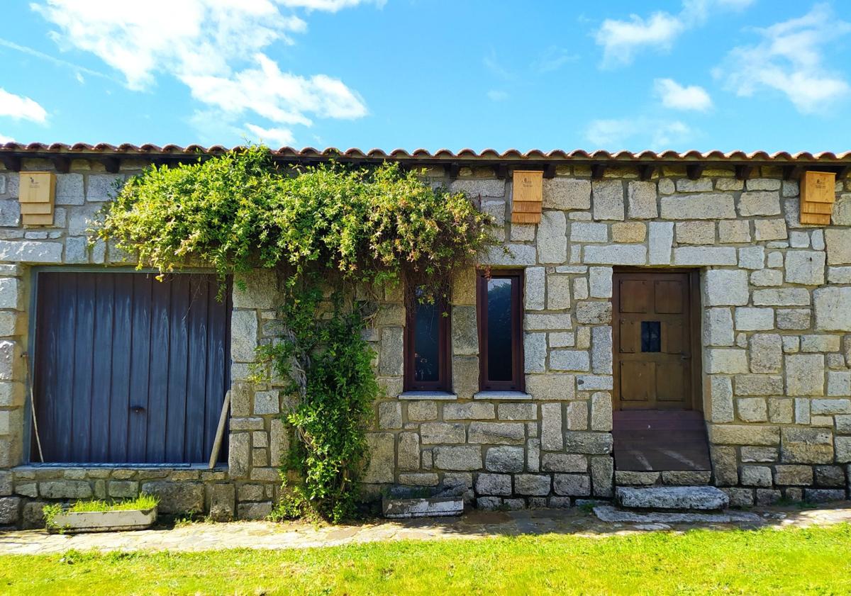 Imagen principal - El negocio en venta en un pueblo de Salamanca para criar un pescado de reyes