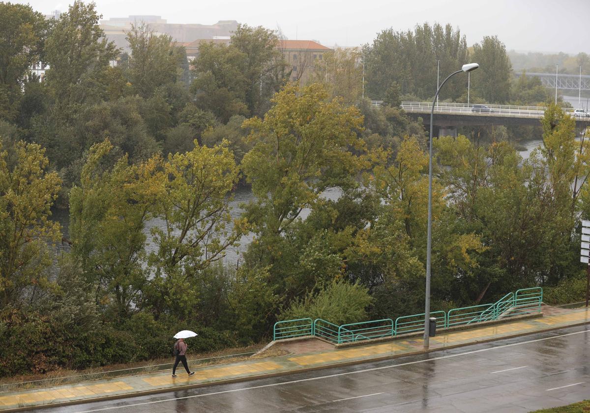 Un viandante con paraguas bajo la lluvia