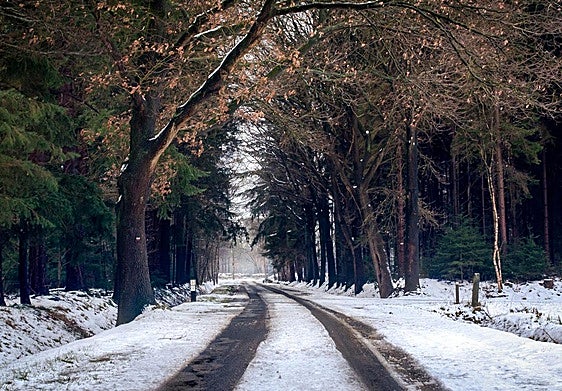 Las dos carreteras de Salamanca que tienen riesgo de nieve por la borrasca Konrad