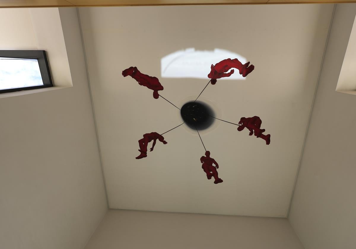 Imagen de Galeria 