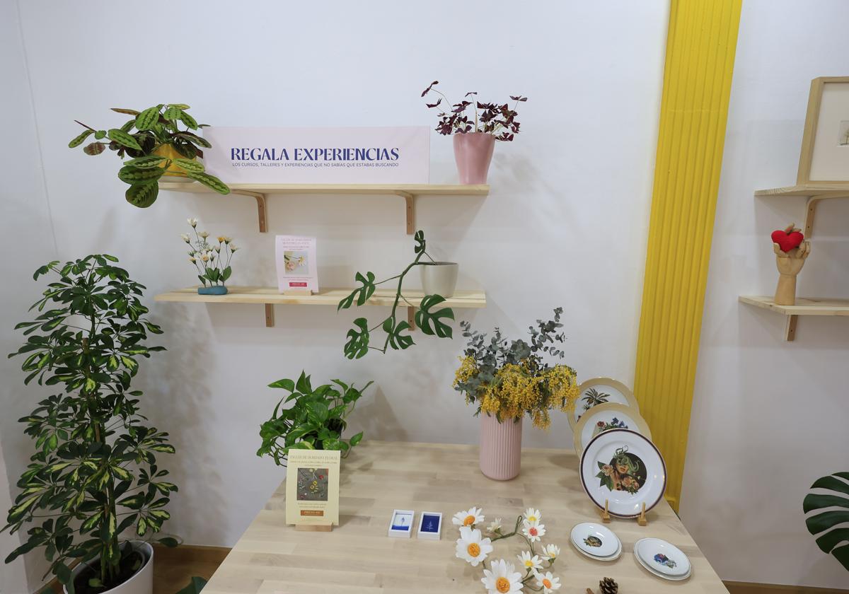 Imagen de Galeria 