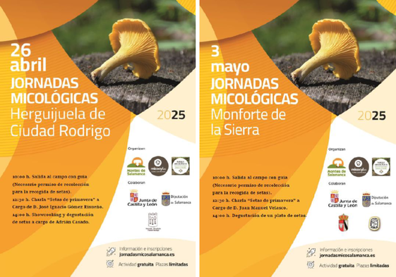 Los dos pueblos de Salamanca que protagonizarán las jornadas micológicas de primavera