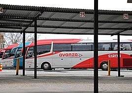 En primer plano, uno de los autobuses Avanza.