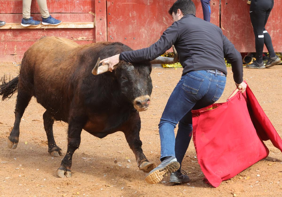 Denuncian la organización de una novillada con acceso rebajado para menores en Villoria