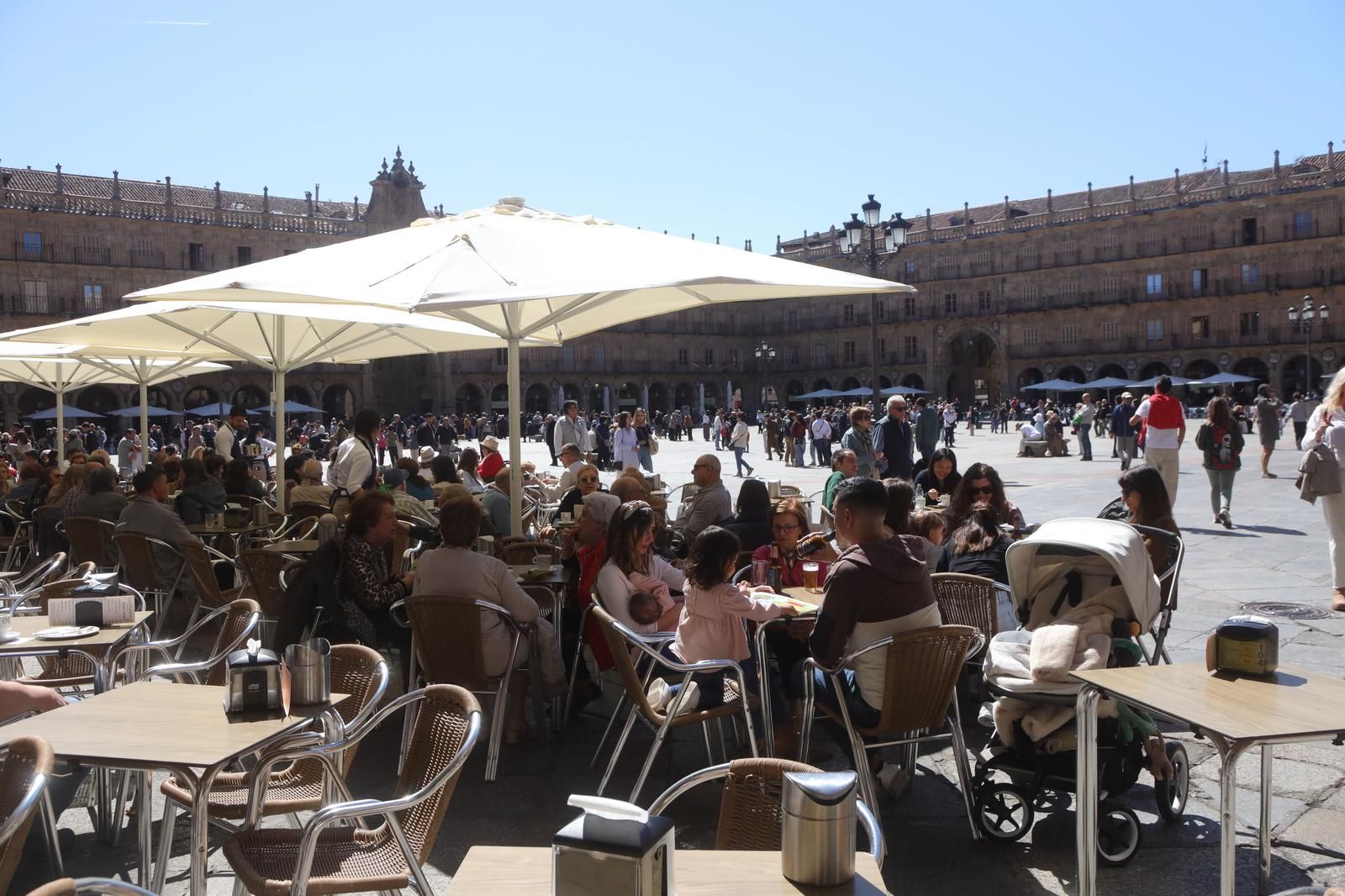 Sol, música y libros: Así celebra Salamanca el Día del Libro con homenaje a Martín Gaite