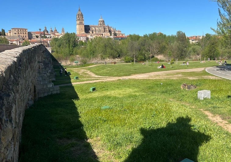 Vista de las catedrales de Salamanca desde el Puente Romano este domingo.