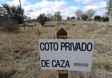 Salamanca gana 30.000 hectáreas de cotos de caza en la última década