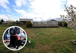 Rec Mascotas, centro de adiestramiento; en el círculo, uno de los perros de asistencia