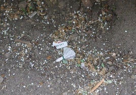 Imagen del 'pollo' de cocaína en el parque de Carmelitas.