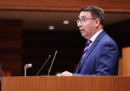 El portavoz de Educación del Grupo Parlamentario Socialista y procurador por Salamanca, Fernando Pablos.