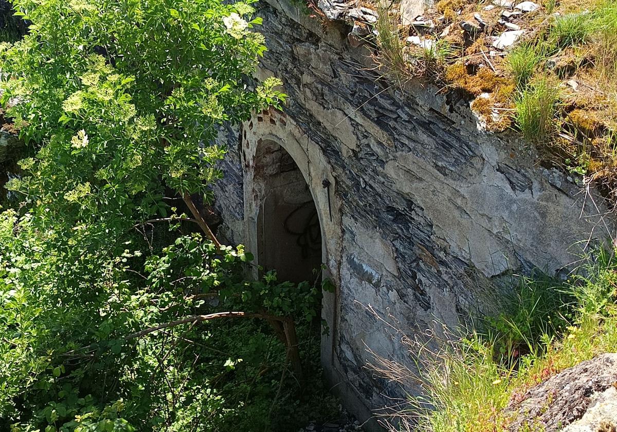 La Salamanca verde que crece entre un bosque a una hora y arbolitos de ciudad