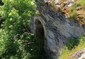 La Salamanca verde que crece entre un bosque a una hora y arbolitos de ciudad