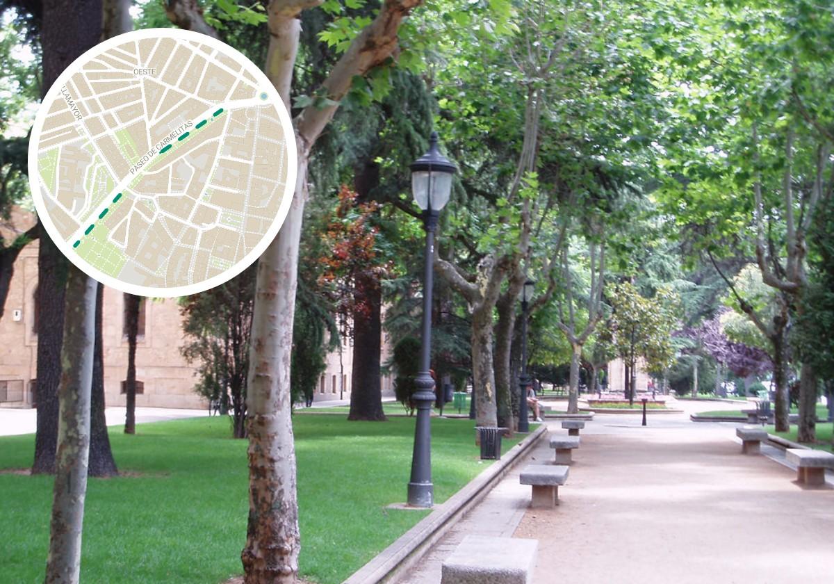 Las nuevas zonas verdes del centro de Salamanca sin invasoras y con más flores
