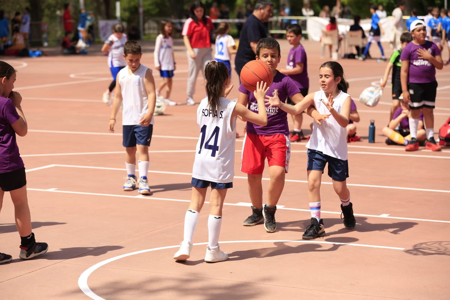 Día del Minibasket en Salamanca: once horas entre canastas