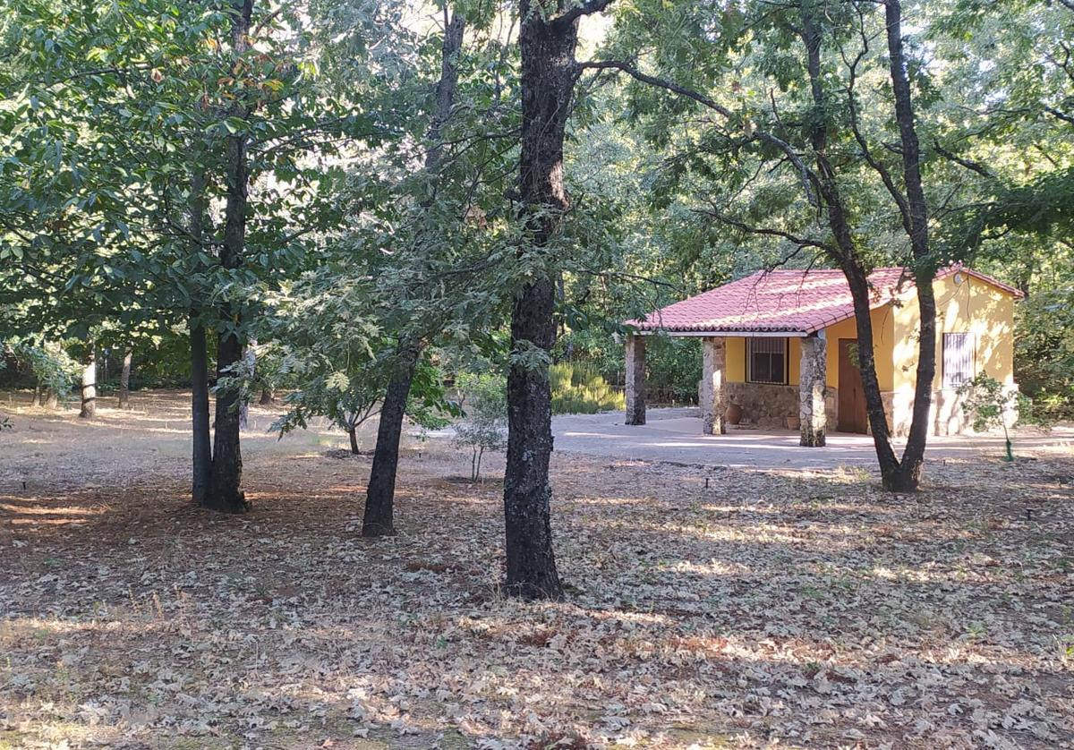 La finca de recreo en venta en un pueblo de Salamanca que es un refugio de robles y castaños