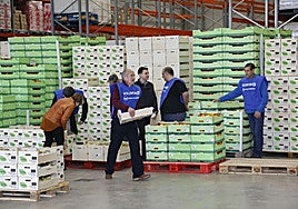 Voluntarios del Banco de Alimentos de Salamanca.