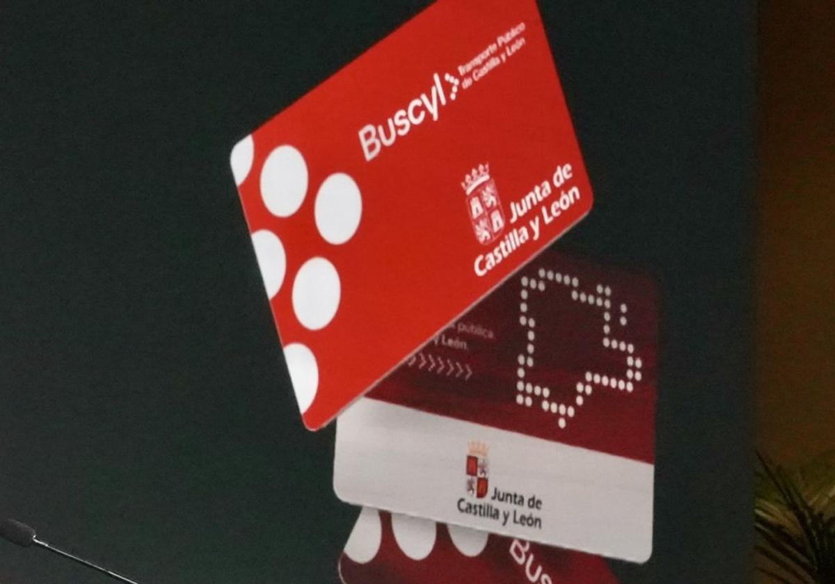Bus gratis en Salamanca: consulta todas las rutas bonificadas de la provincia