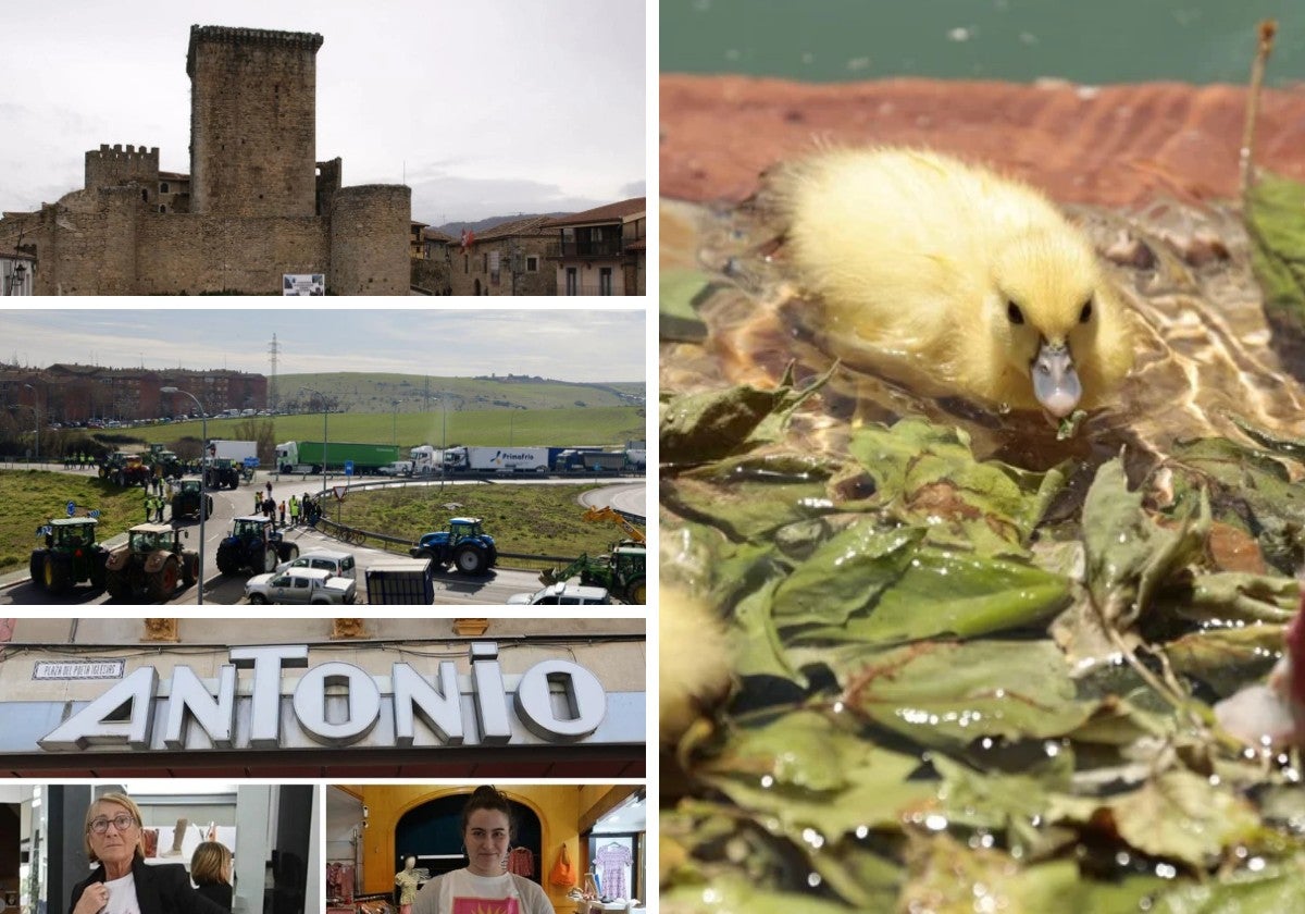 Las noticias imprescindibles de Salamanca este lunes 26 de mayo