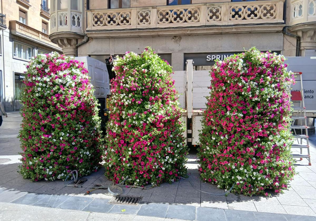 La renovación más colorida en Salamanca: de las jardineras de farola a los muros florales