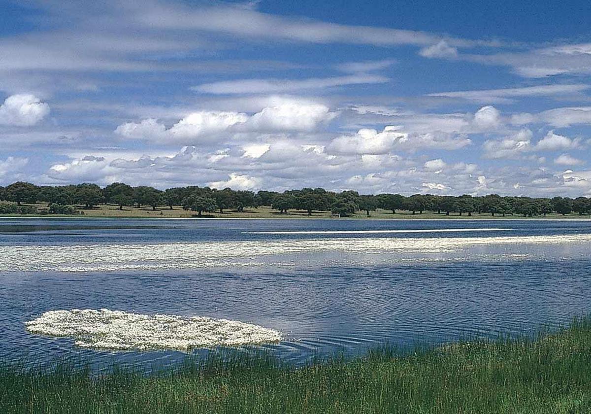 Las valiosas charcas y lagunas de los pueblos de Salamanca que serán oasis naturales