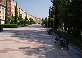 El paseo peatonal de la calle la Marina entre la calzada y el parque.