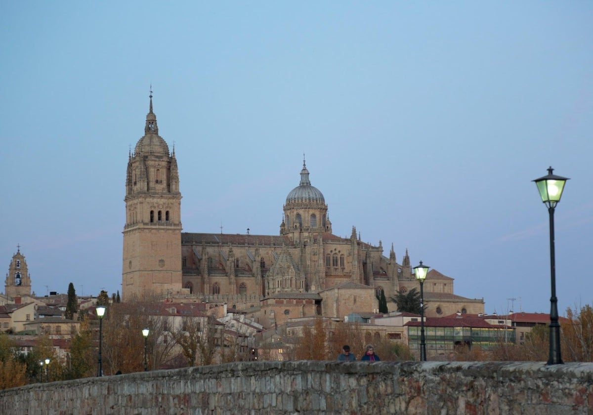 Imagen de Galeria 