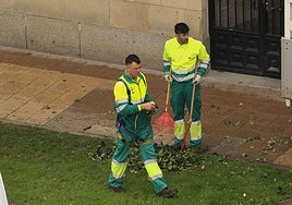 Trabajadores de Parques y Jardines