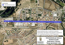 Estrechamiento en la avenida de Lasalle