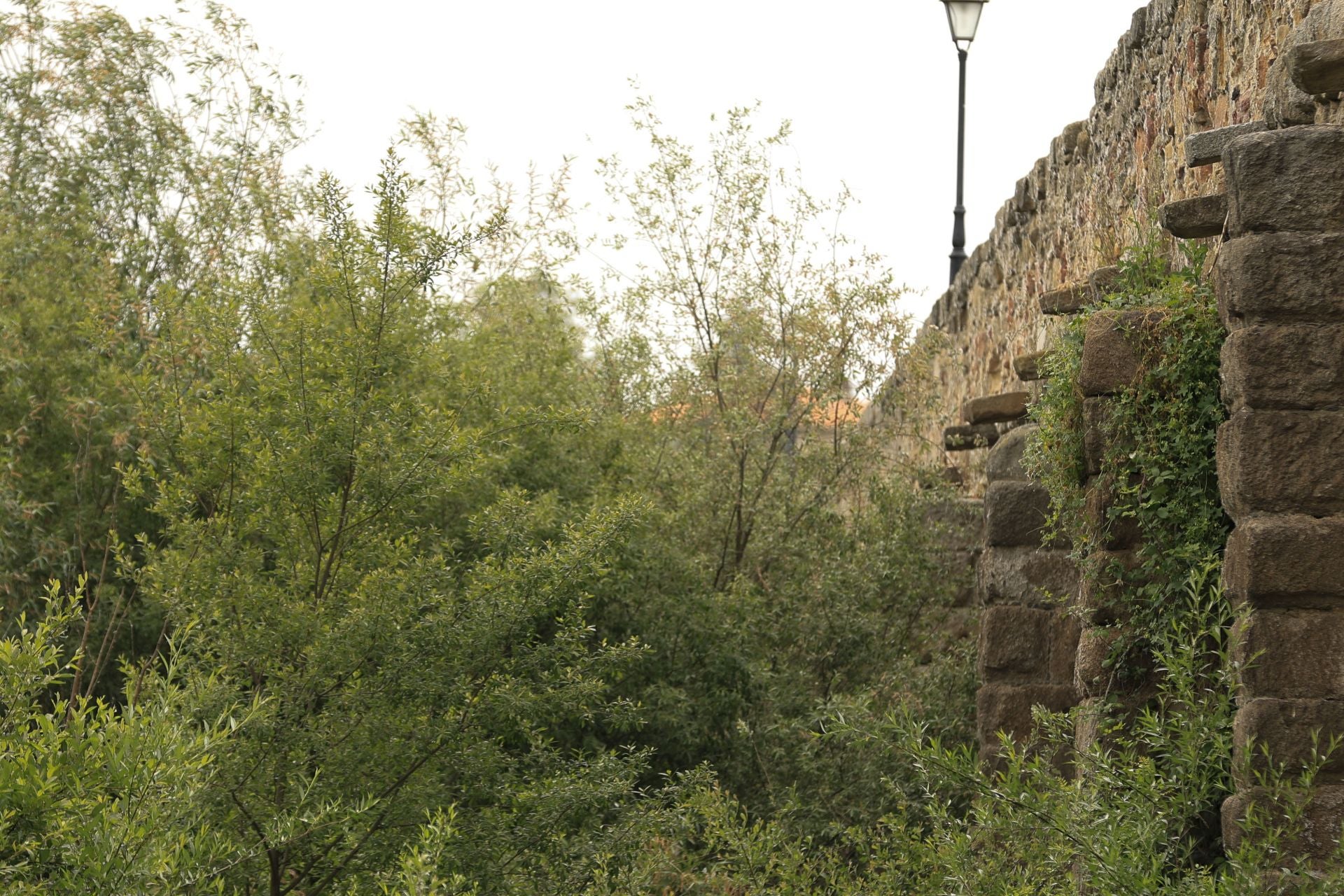 Los daños del Puente Romano de Salamanca que sobrevive a 2.000 años sobre el Tormes