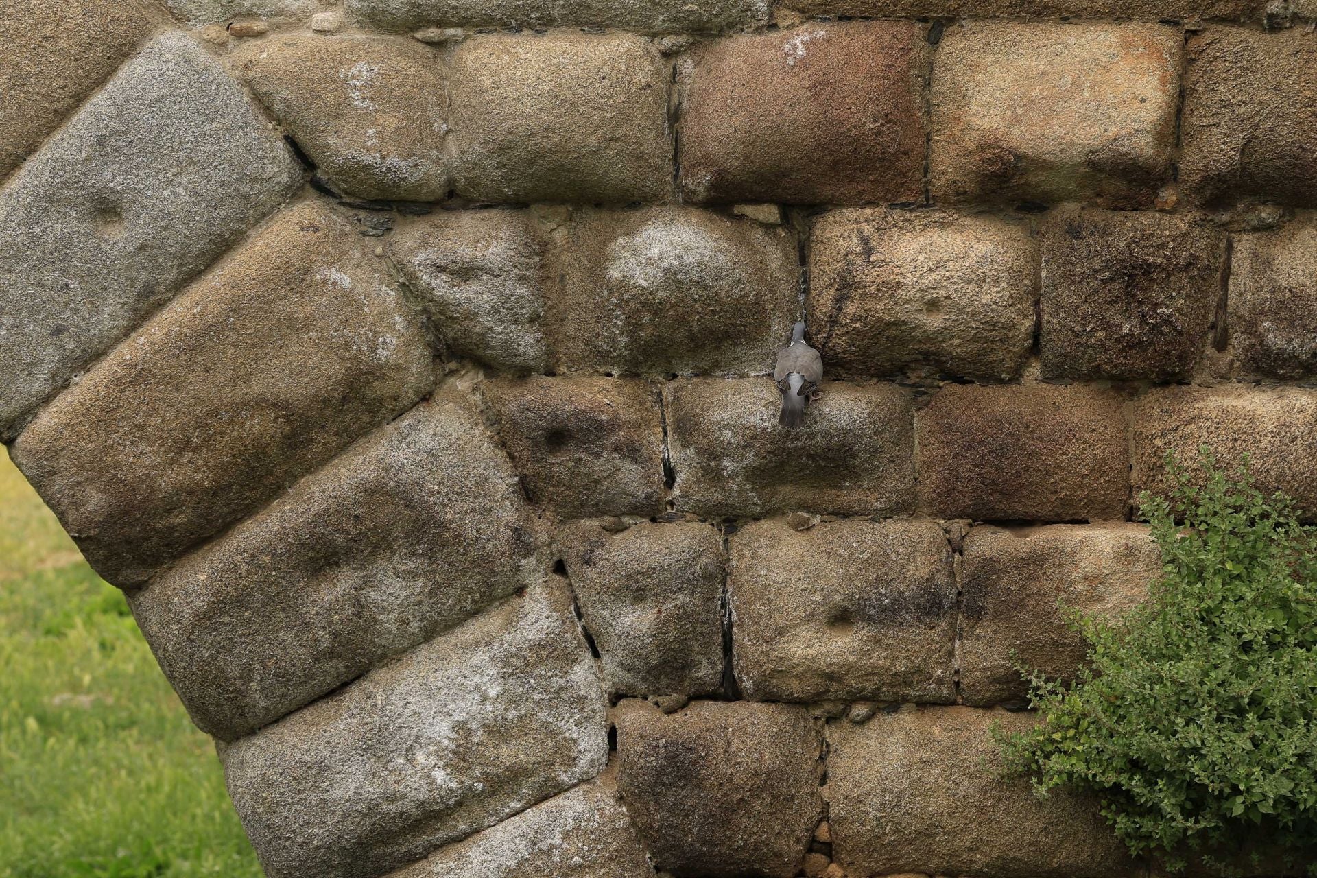 Los daños del Puente Romano de Salamanca que sobrevive a 2.000 años sobre el Tormes